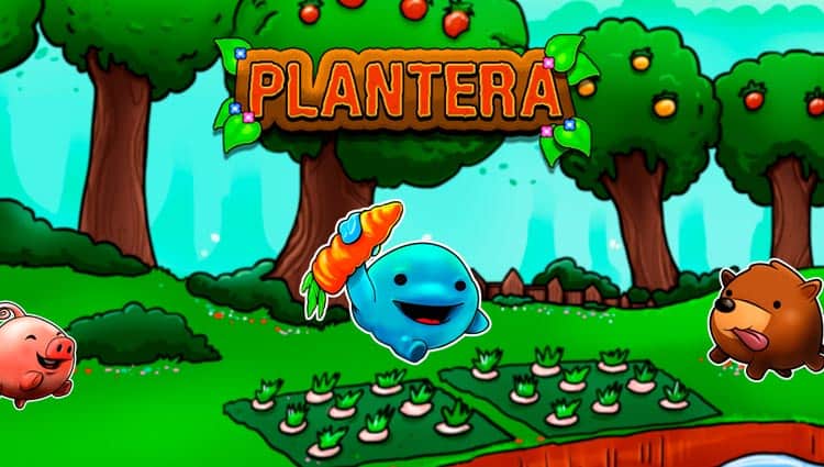 plantera