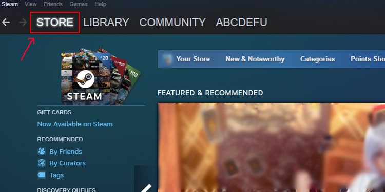 steam-store-screenshot