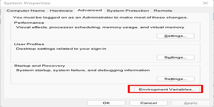 Environment Variables