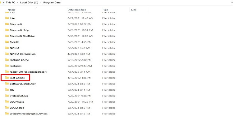 Valorant Cache Files