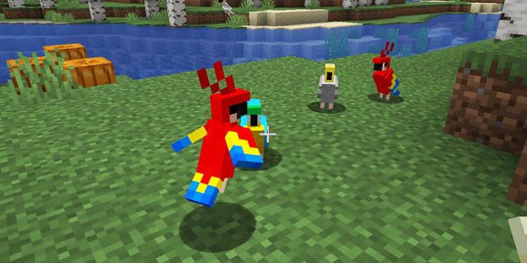 how to breed parrots in minecraft