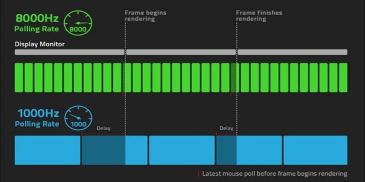 Difference Between 8000hz and 1000hz