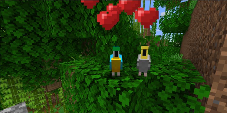 How to tame a parrot in minecraft