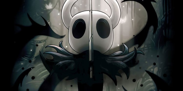 hollow knight