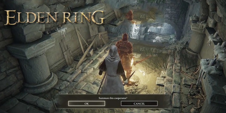 elden ring cant summon friends