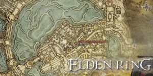 how to get to the rold route