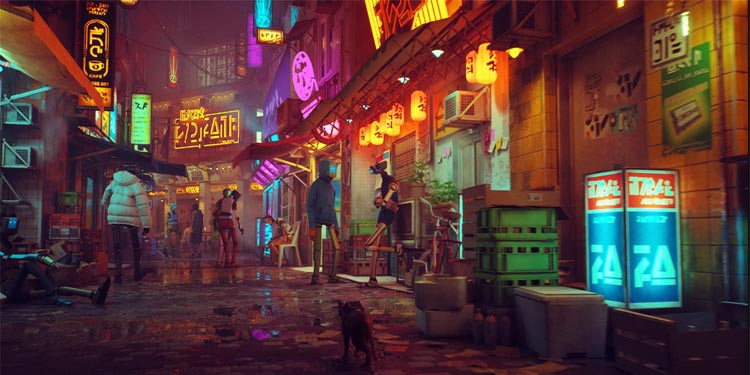 Stray