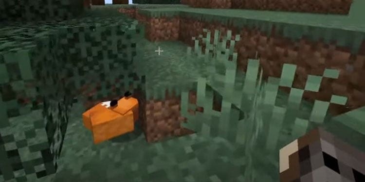 find-fox-minecraft