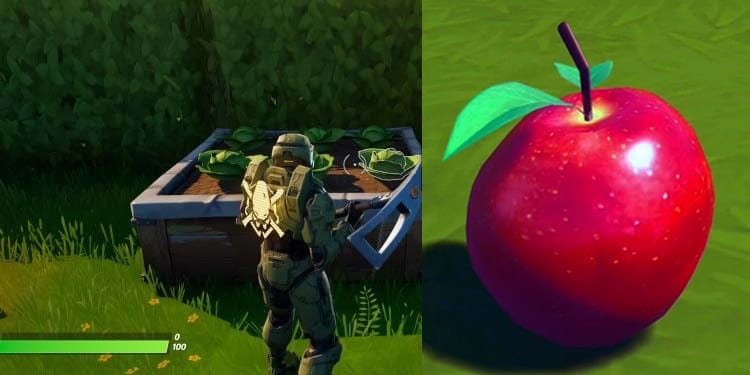 fruits-fortnite