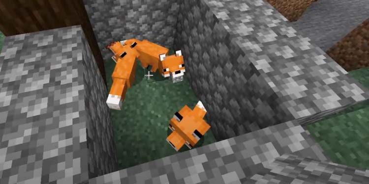 minecraft-tame-fox