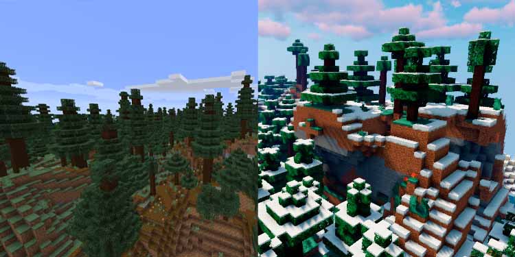 How to Tame a Fox in Minecraft?