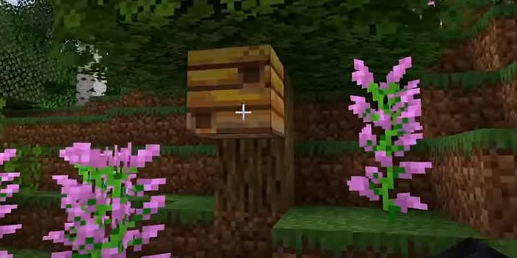 find-bee-nest-minecraft