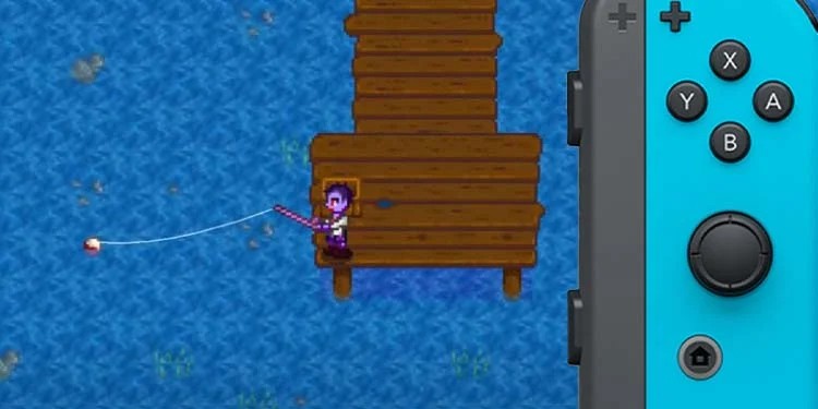 how to fish stardew valley switch