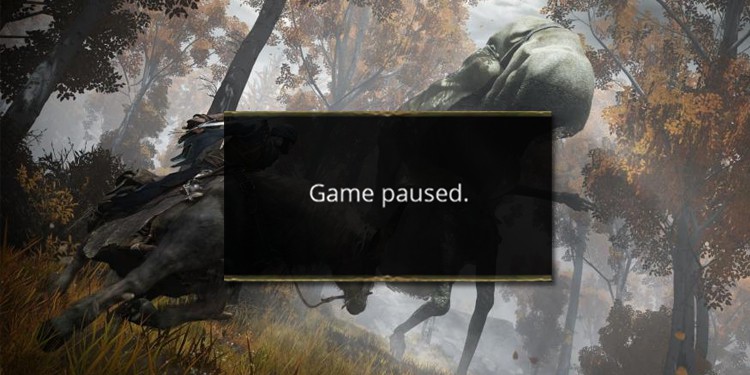 how to pause elden ring