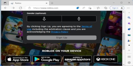 How to Install and Play Roblox (Beginners Guide)?