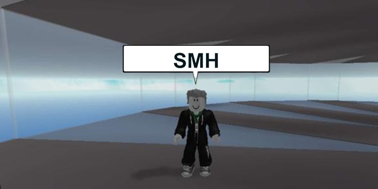 what does smh mean in roblox