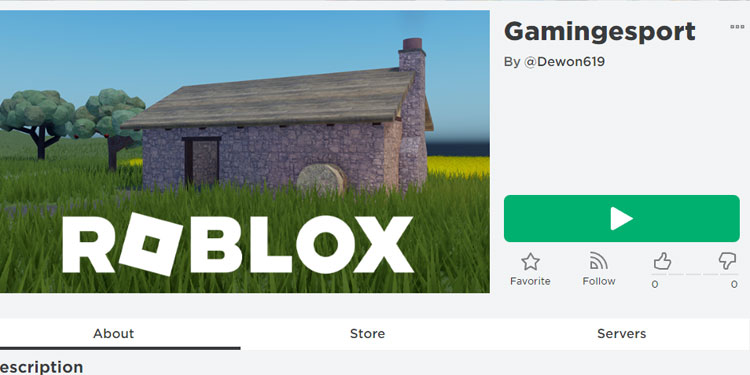 Play Roblox