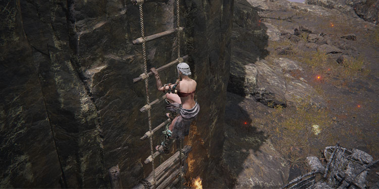 climbing-the-ladder