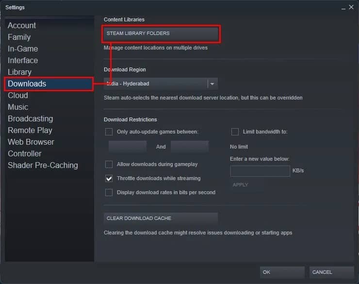 steam-settings-window