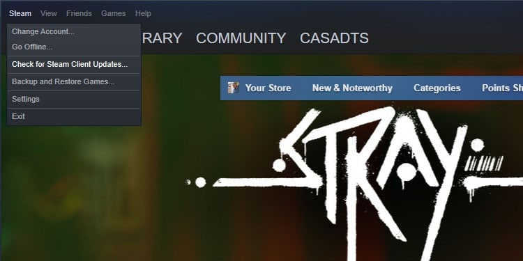 update steam