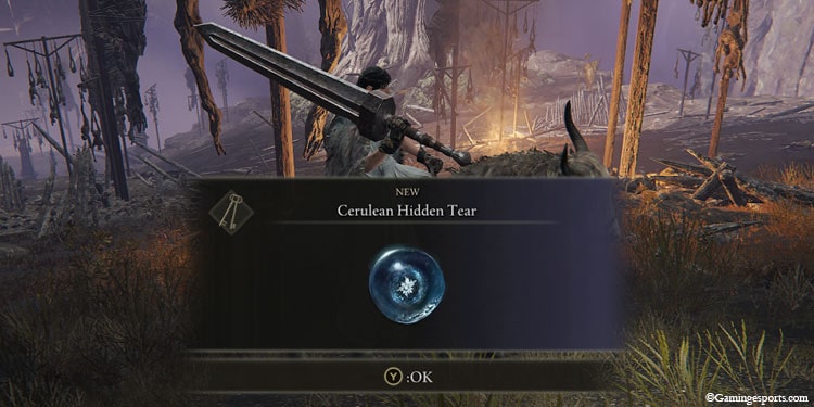 Cerulean-Hidden-tear-Obtained