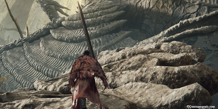 Climbing-the-dragon