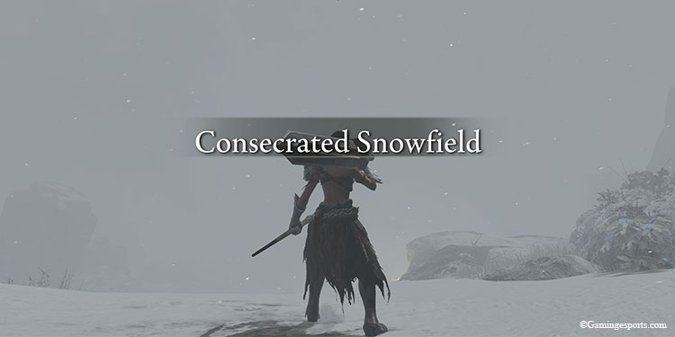 Consecrated-Snowfield