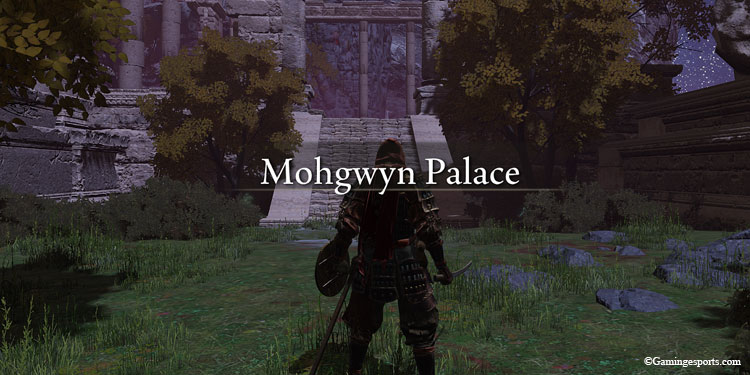 Mohgwyn-palace-again
