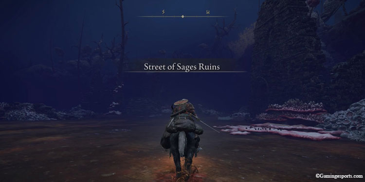 Street-of-sages-ruins