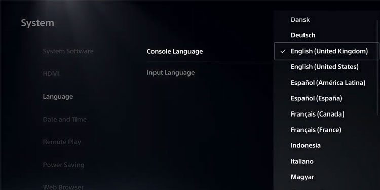 Console Language