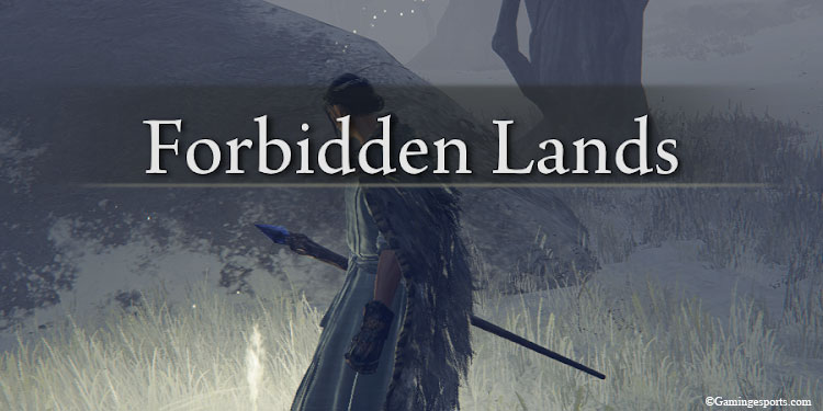 at-forbidden-lands