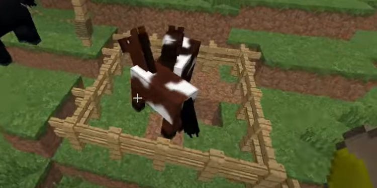 breed horse minecraft