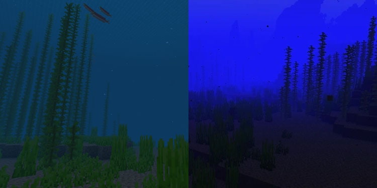 deep ocean spawn
