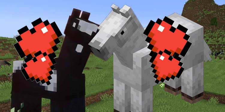 how to breed horses in minecraft