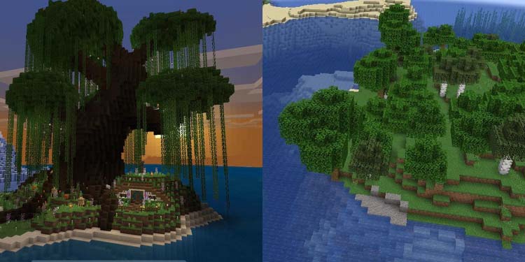 island and tree