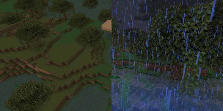 velký bažinový minecraft