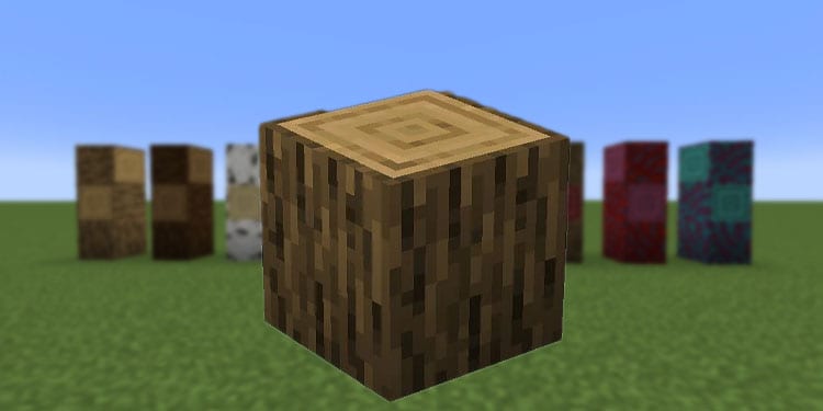 logs minecraft