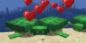 How to Get Turtle Shell in Minecraft?