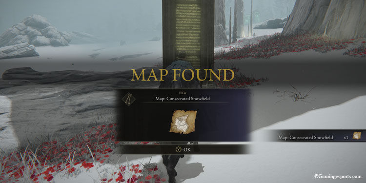 map-snowfield