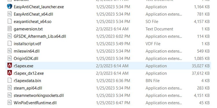 r5apex exe file