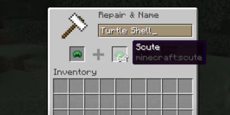 repair turtle shell