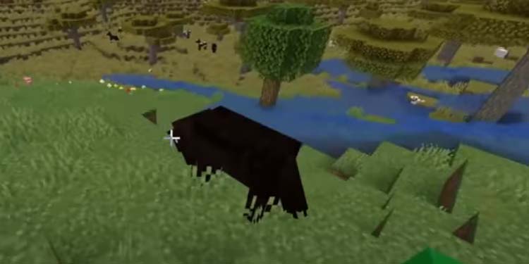 ride horse minecraft