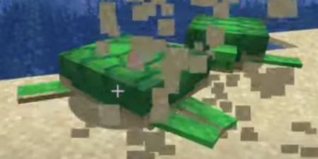 Minecraft Turtle Shell Display How to Get Turtle Shell in Minecraft?