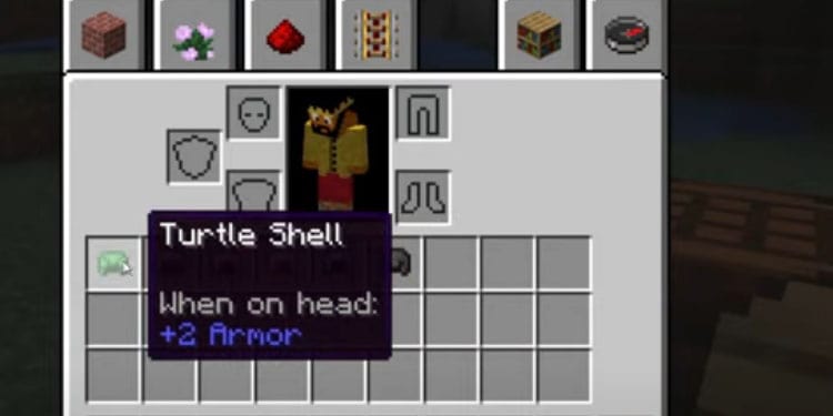 turtle shell helmet