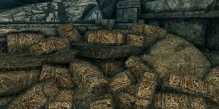 where to get straw in skyrim