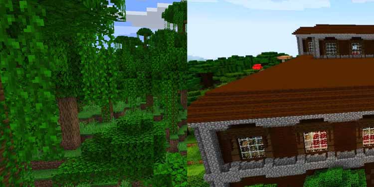 Woodland Jungle