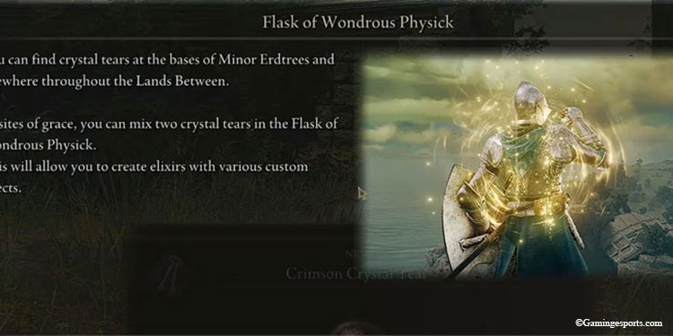Flask-of-Wondrous-Physick