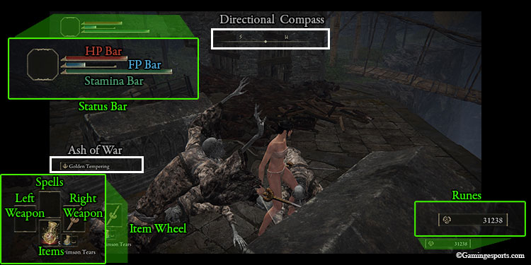 HUD-display-Elden-Ring