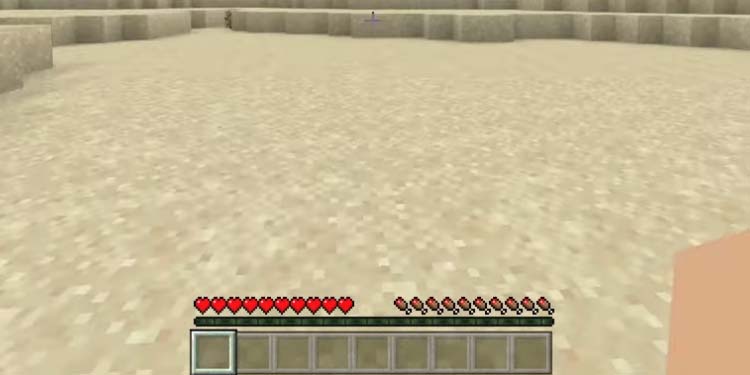 HUD minecraft