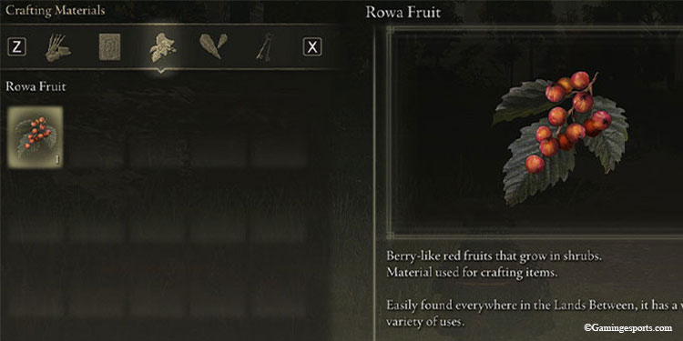 Rowa-Fruit
